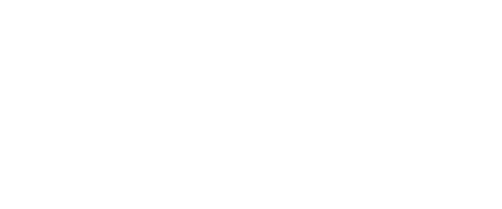 HAUNHOLTER CONSULTING