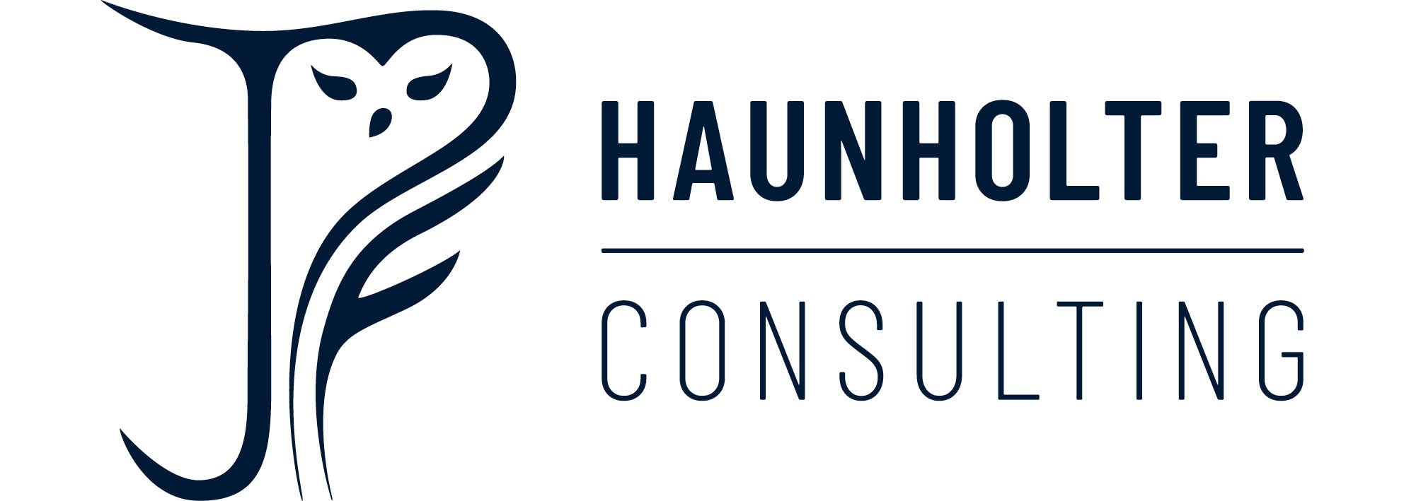 logo1 Logo Haunholter-Consulting